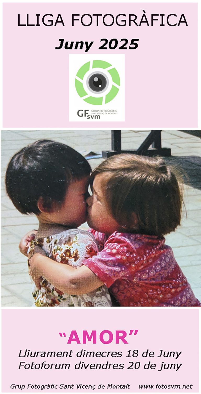 Lliga GFSVM _Amor