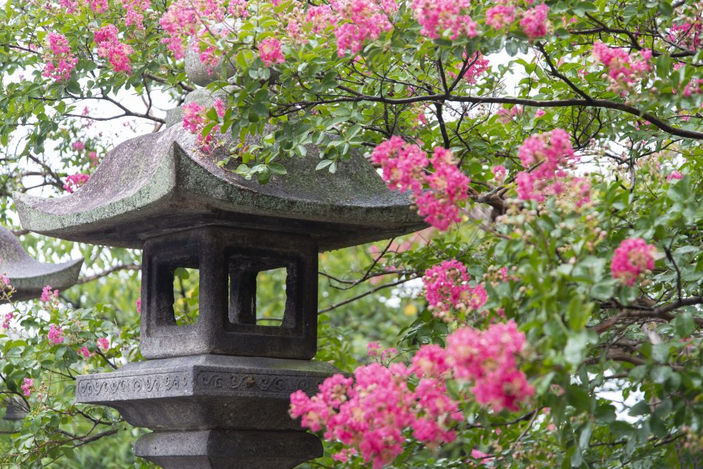 Temple Kiyomizu-dera. Kyoto
