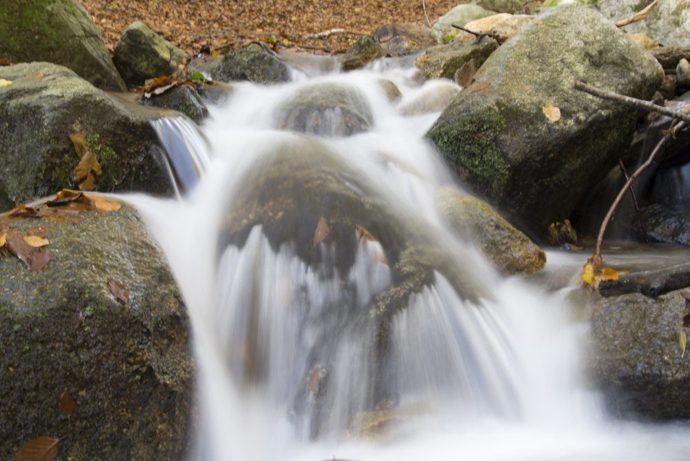 Montseny