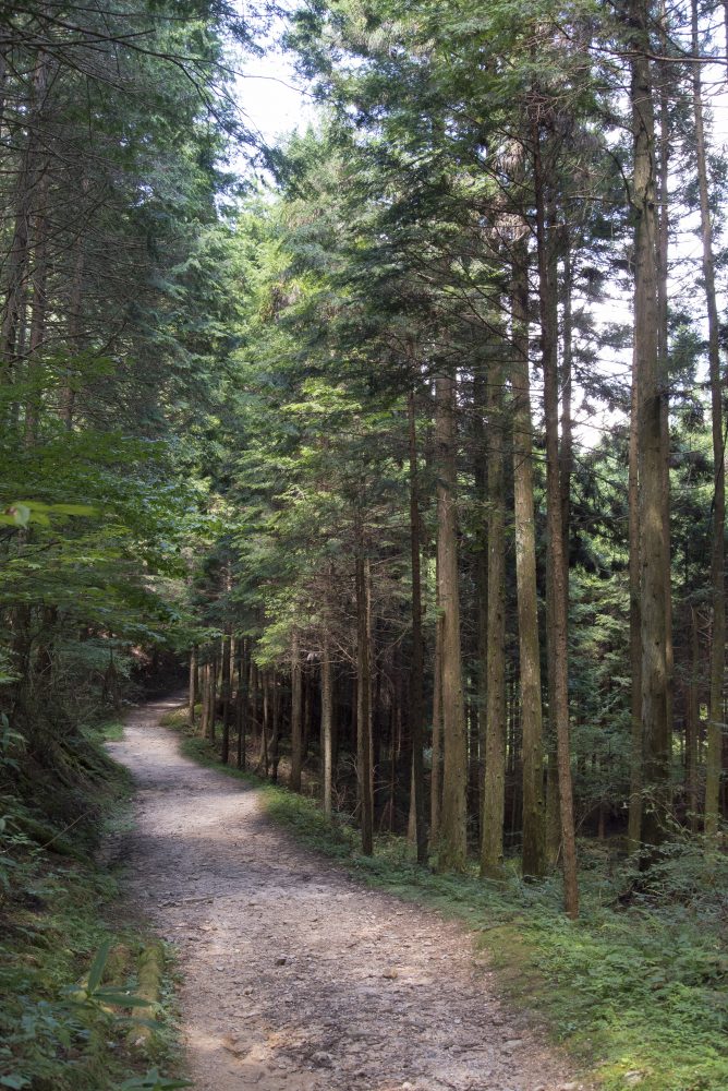 Ruta Nakasendo. Japó