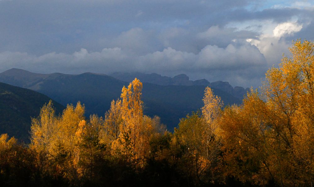 Atardecer