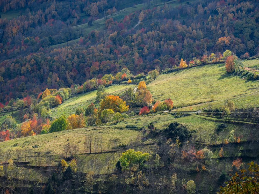 Colors-de-tardor