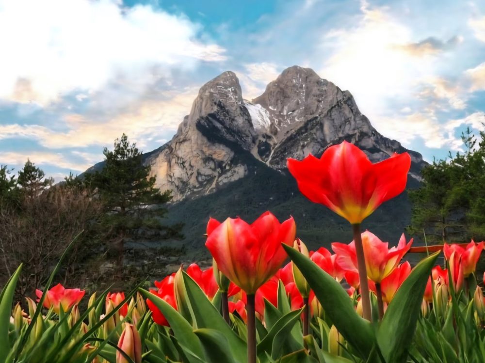 Pedraforca