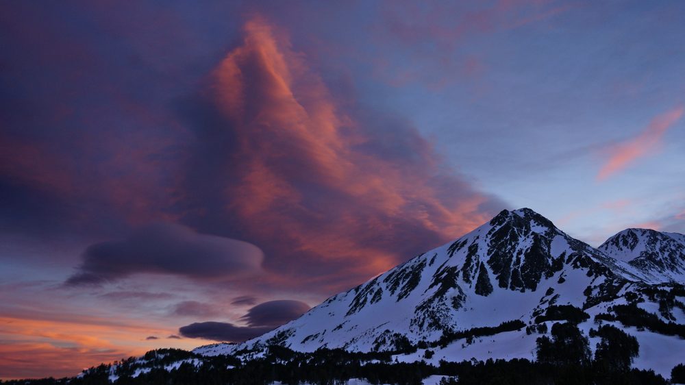 foc-i-neu