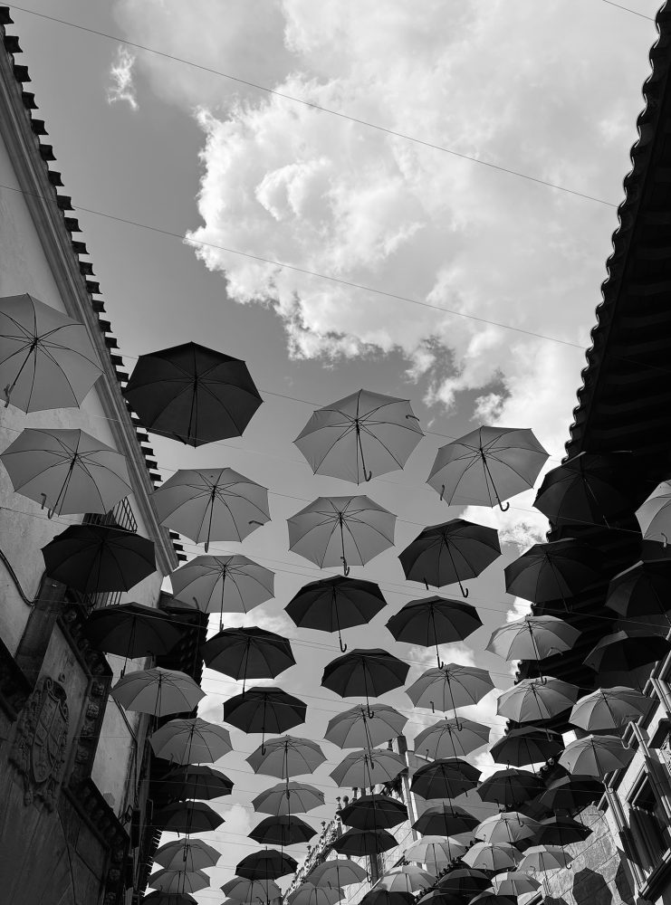 Paraigues-optimistes