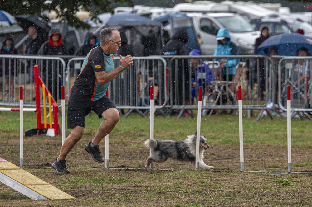 Agility-sota-la-pluja