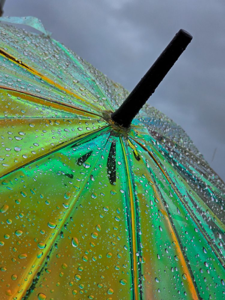 Gotes-de-pluja