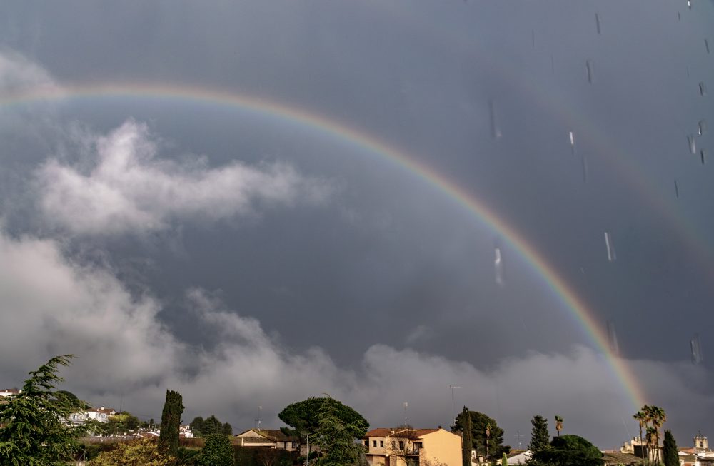 Rainbow-catala-1