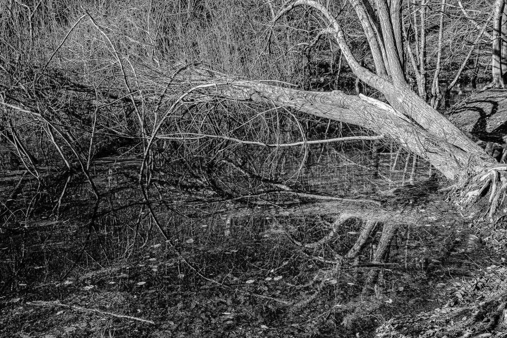Montseny-