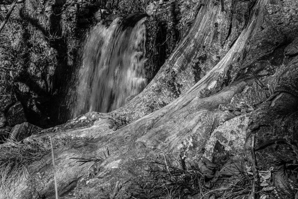 Montseny