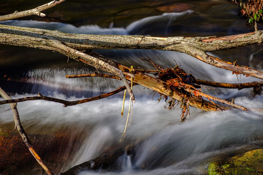Montseny-6692
