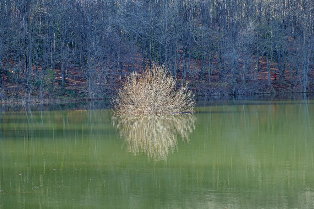 Montseny-6724