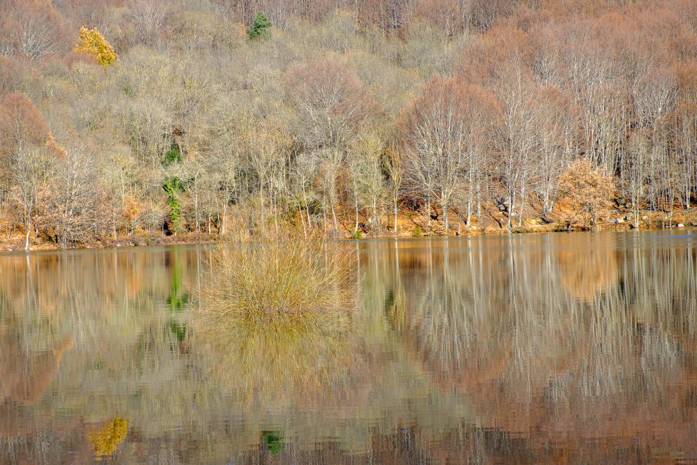 Montseny-6729