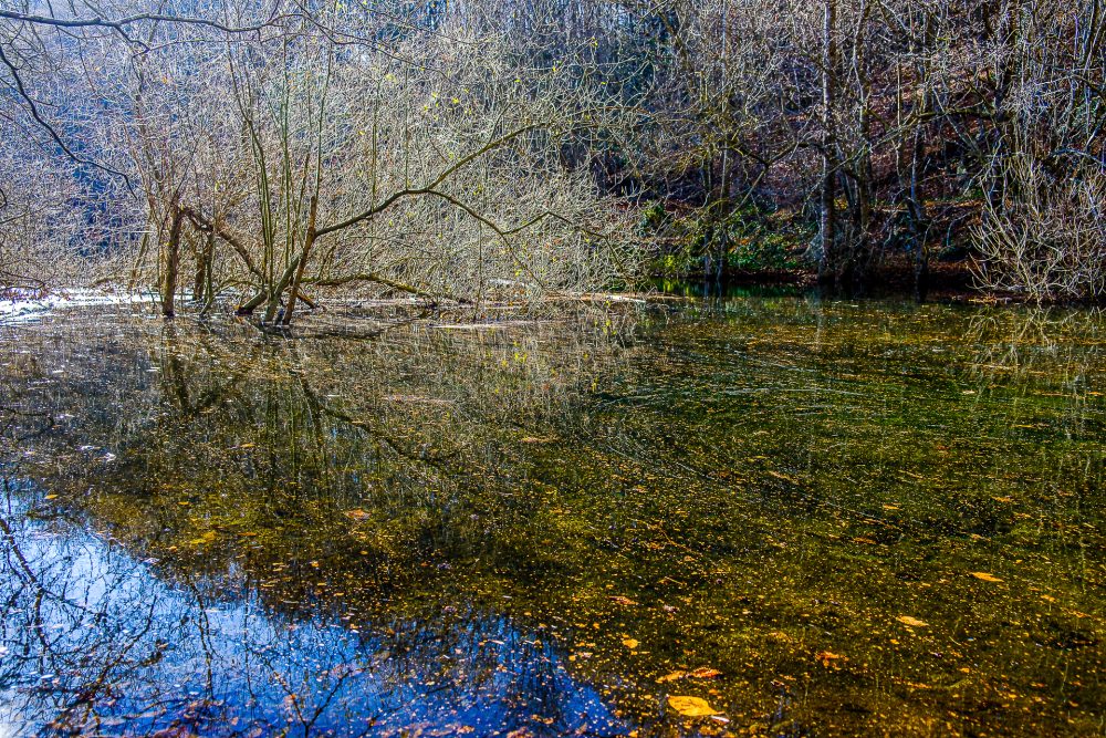 Montseny-7