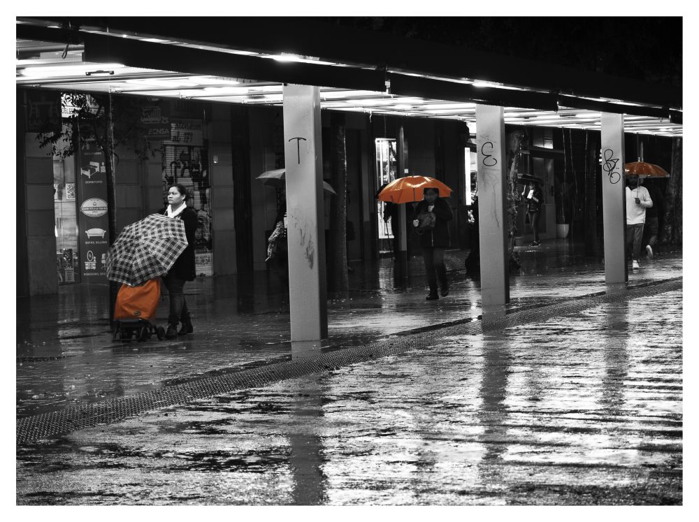 Dia de pluja 3