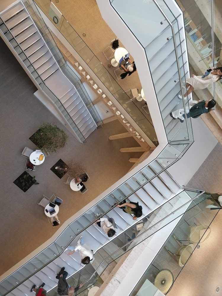 Biblioteca-GGM
