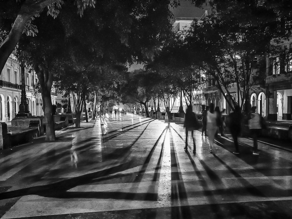 Camino-del-Malecon-